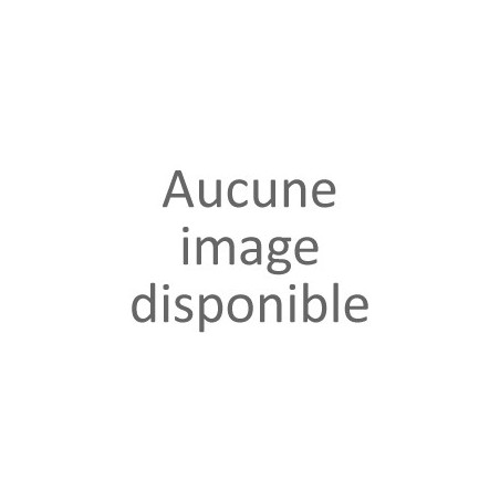 Kit industrie décapeur pneumatique Scrap'Air 55V2 court